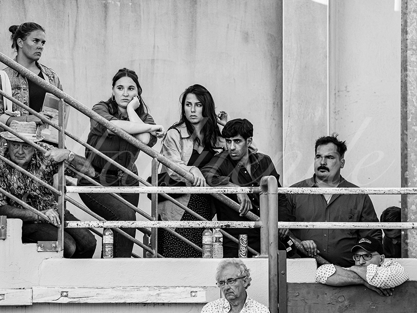 20251011 bouillargues by alfaduende 029