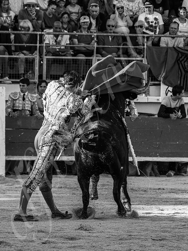 20251011 bouillargues by alfaduende 025