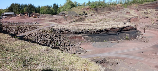 Lemptegy-03