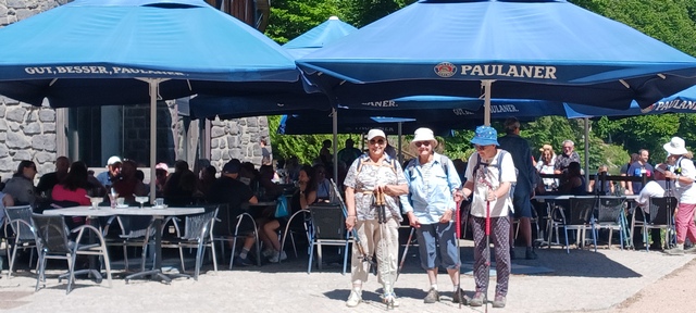 Pavin-04
