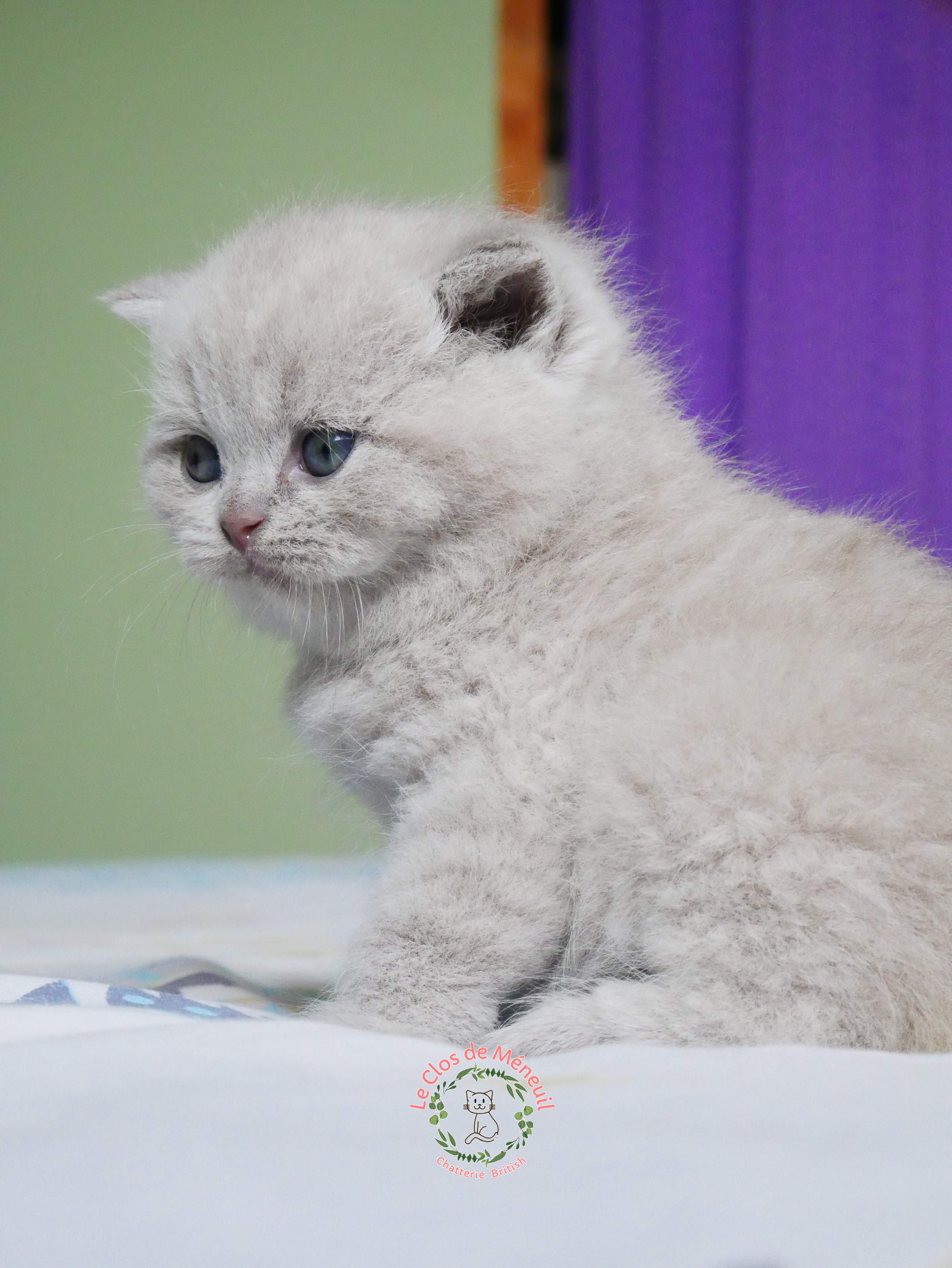 Male 0 m 4 sem 1 