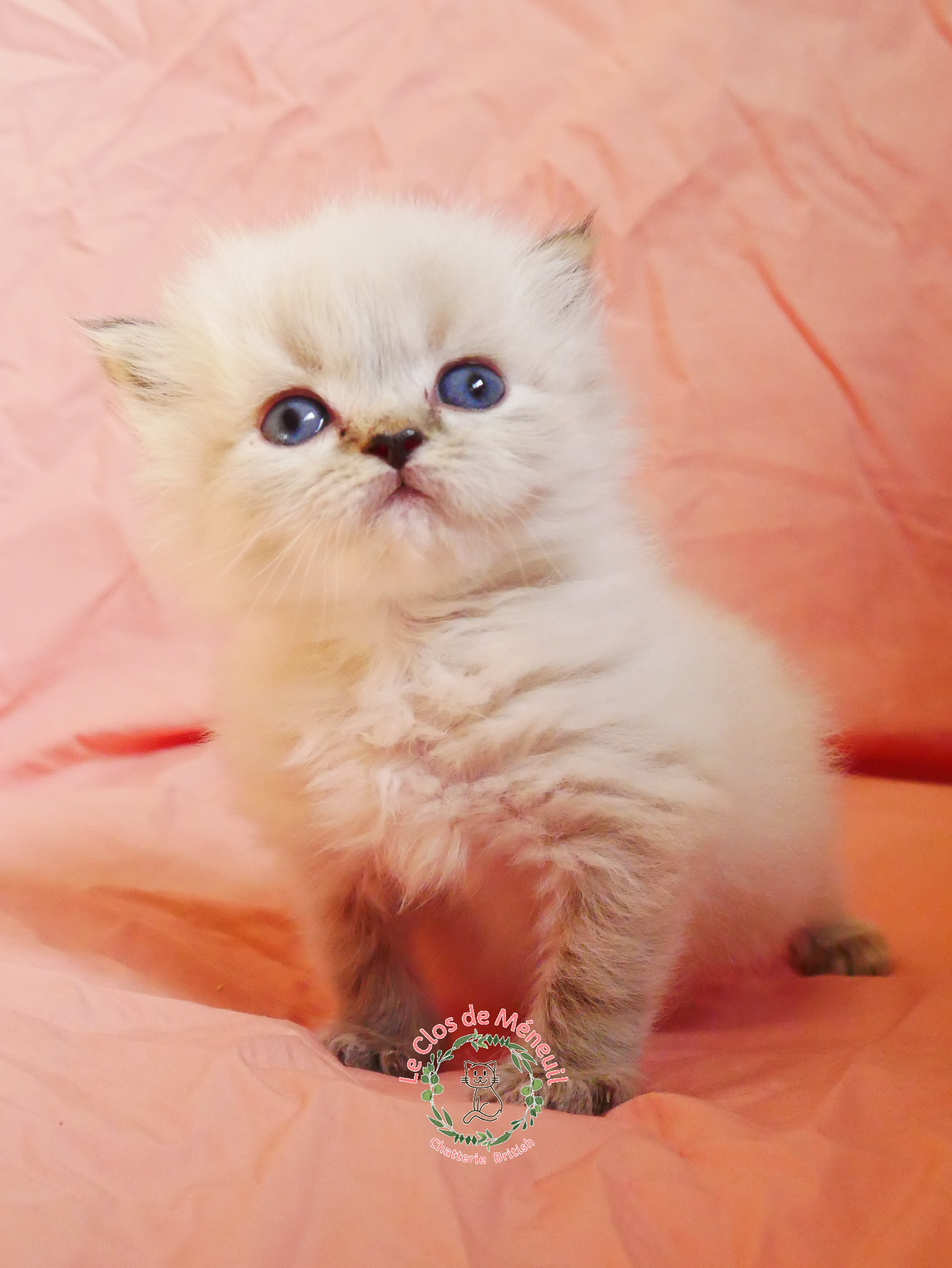 Crevette 0 m 4 sem 4 