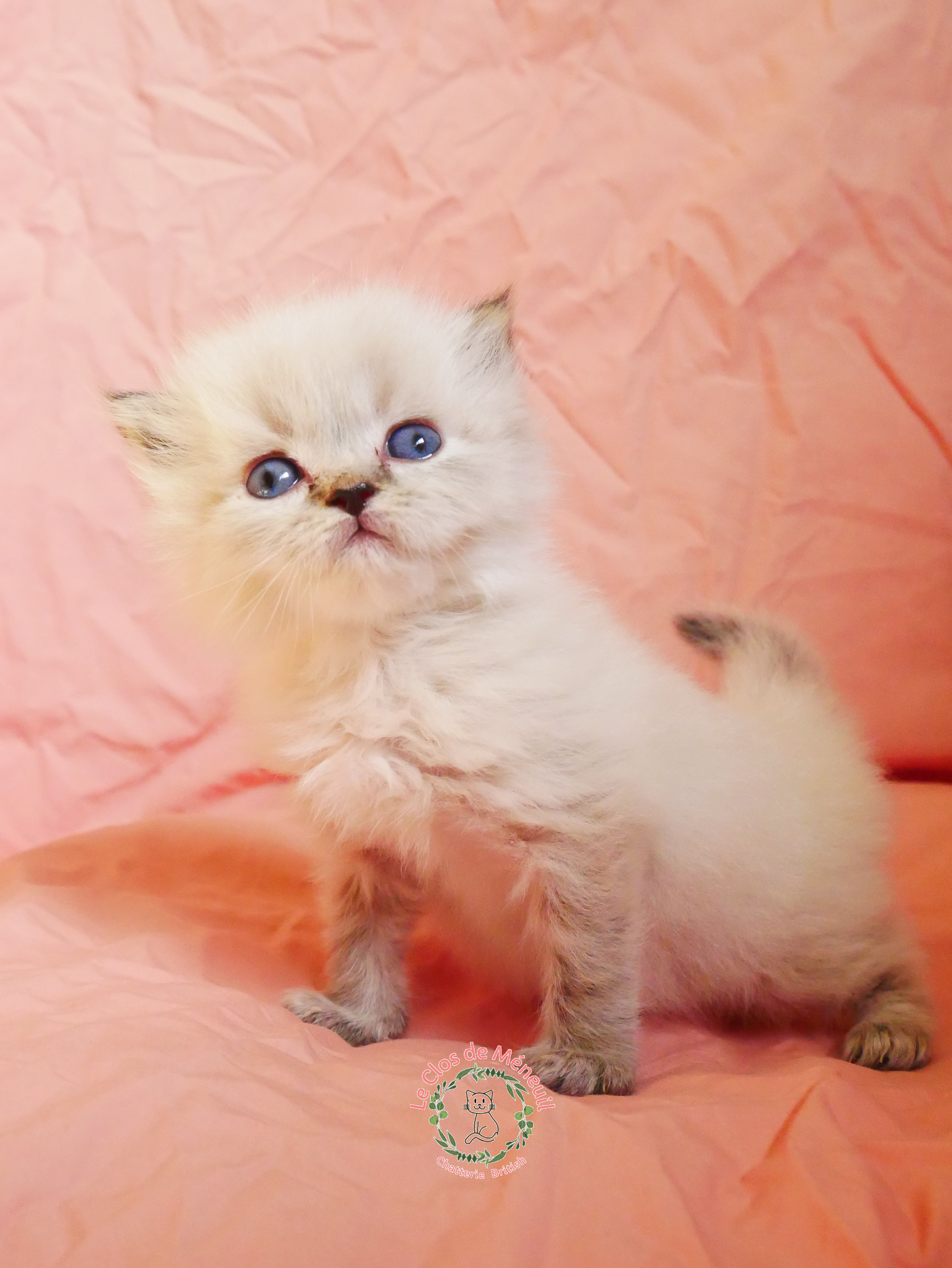 Crevette 0 m 4 sem 2 