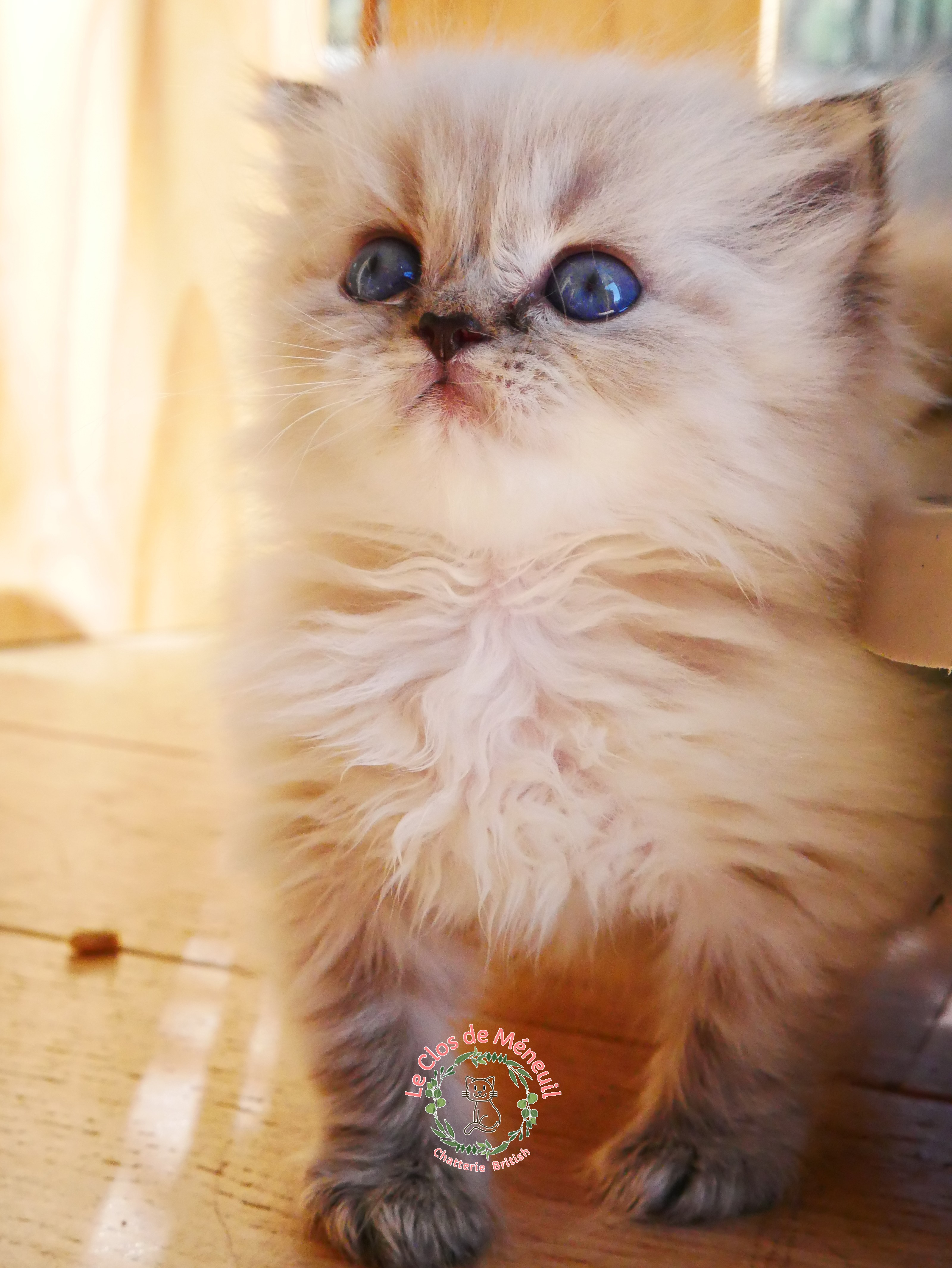 Crevette 0 m 5 sem 1 