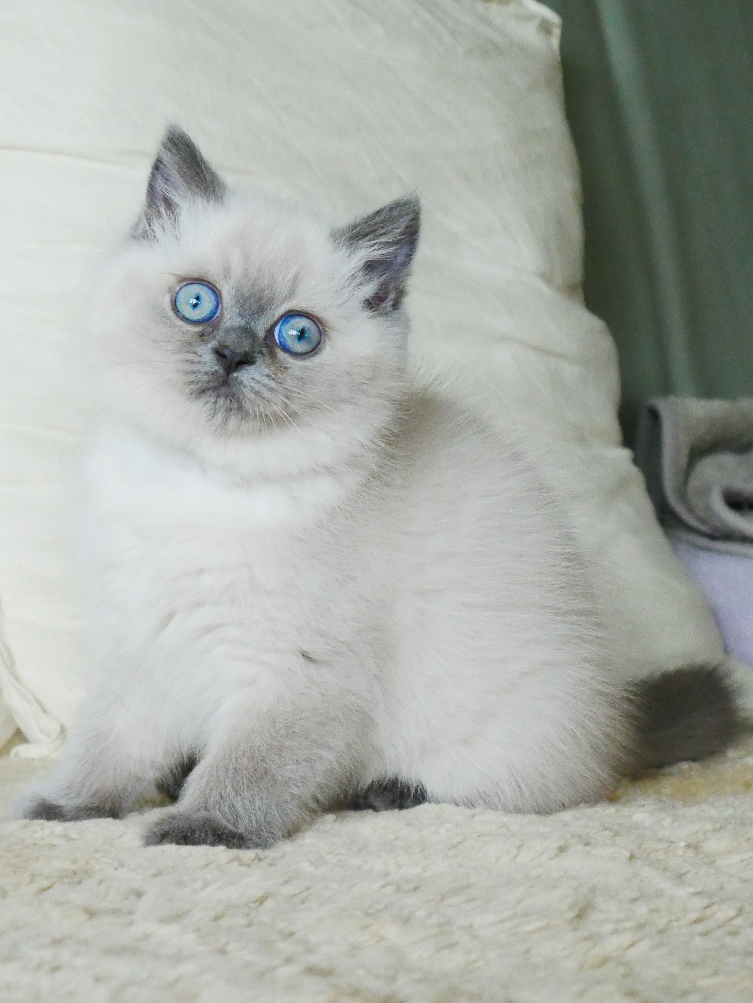 Violet 0 m 9 sem 6 
