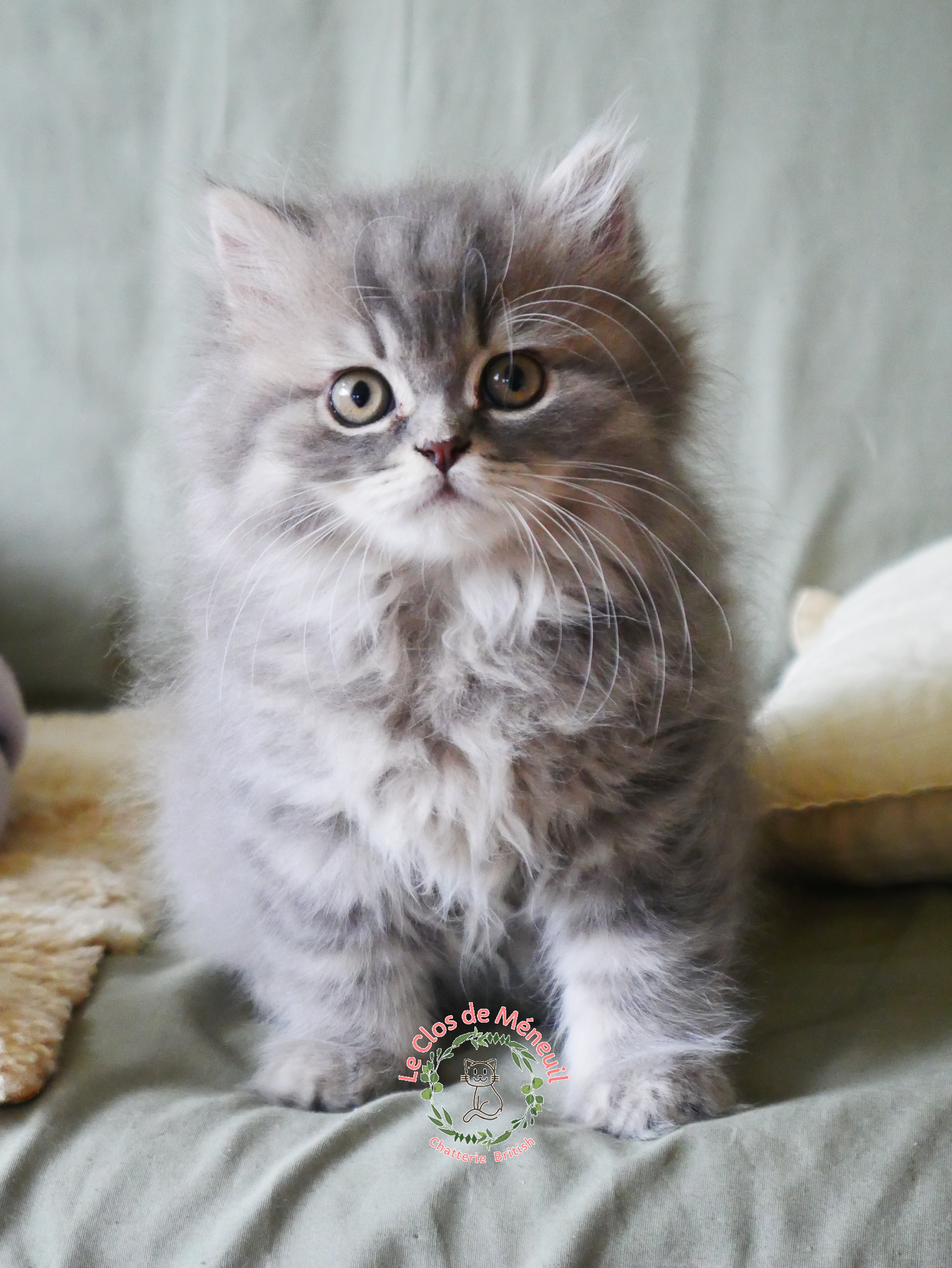 Berlioz 10 sem 4 
