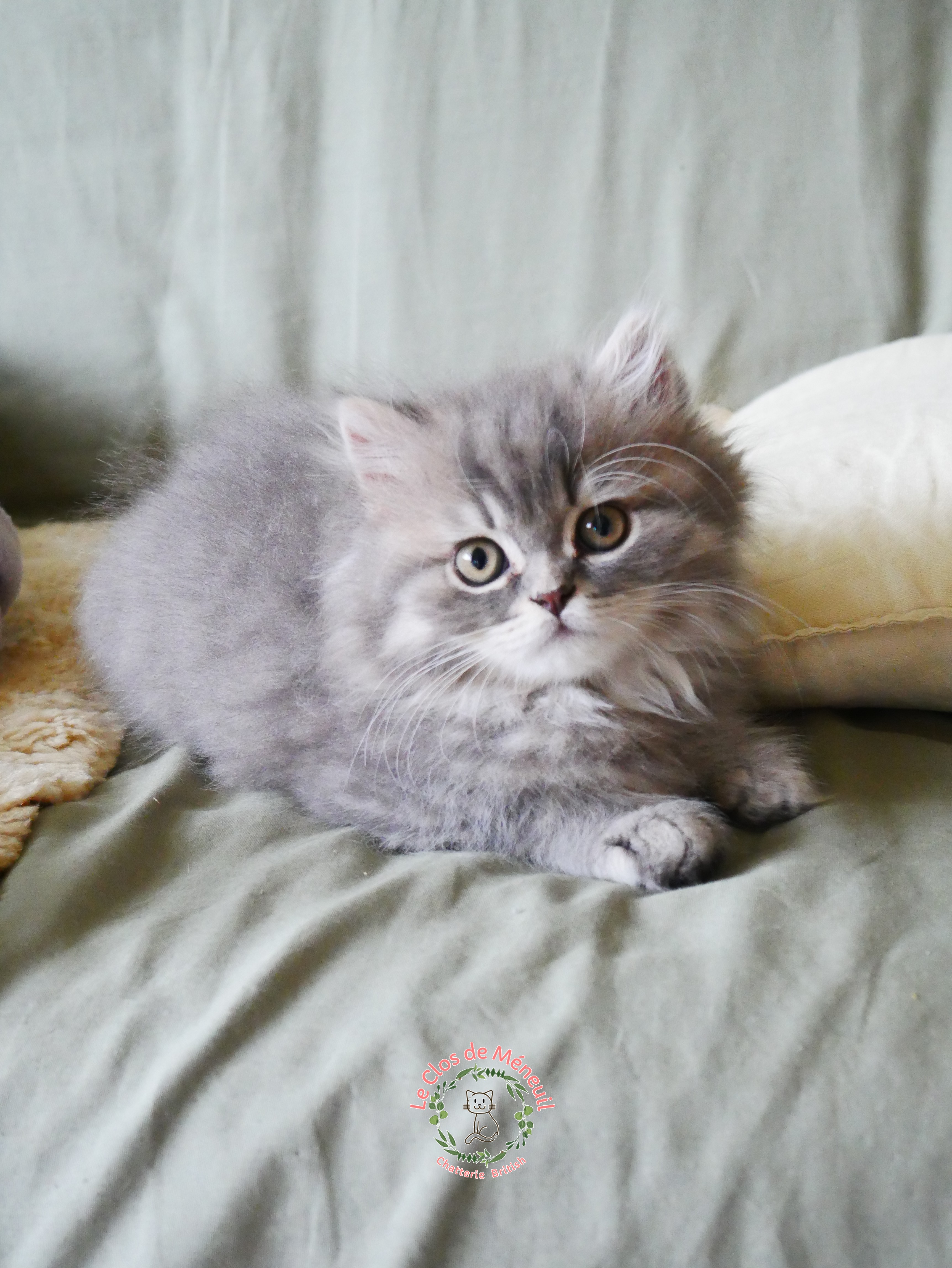 Berlioz 10 sem 3 