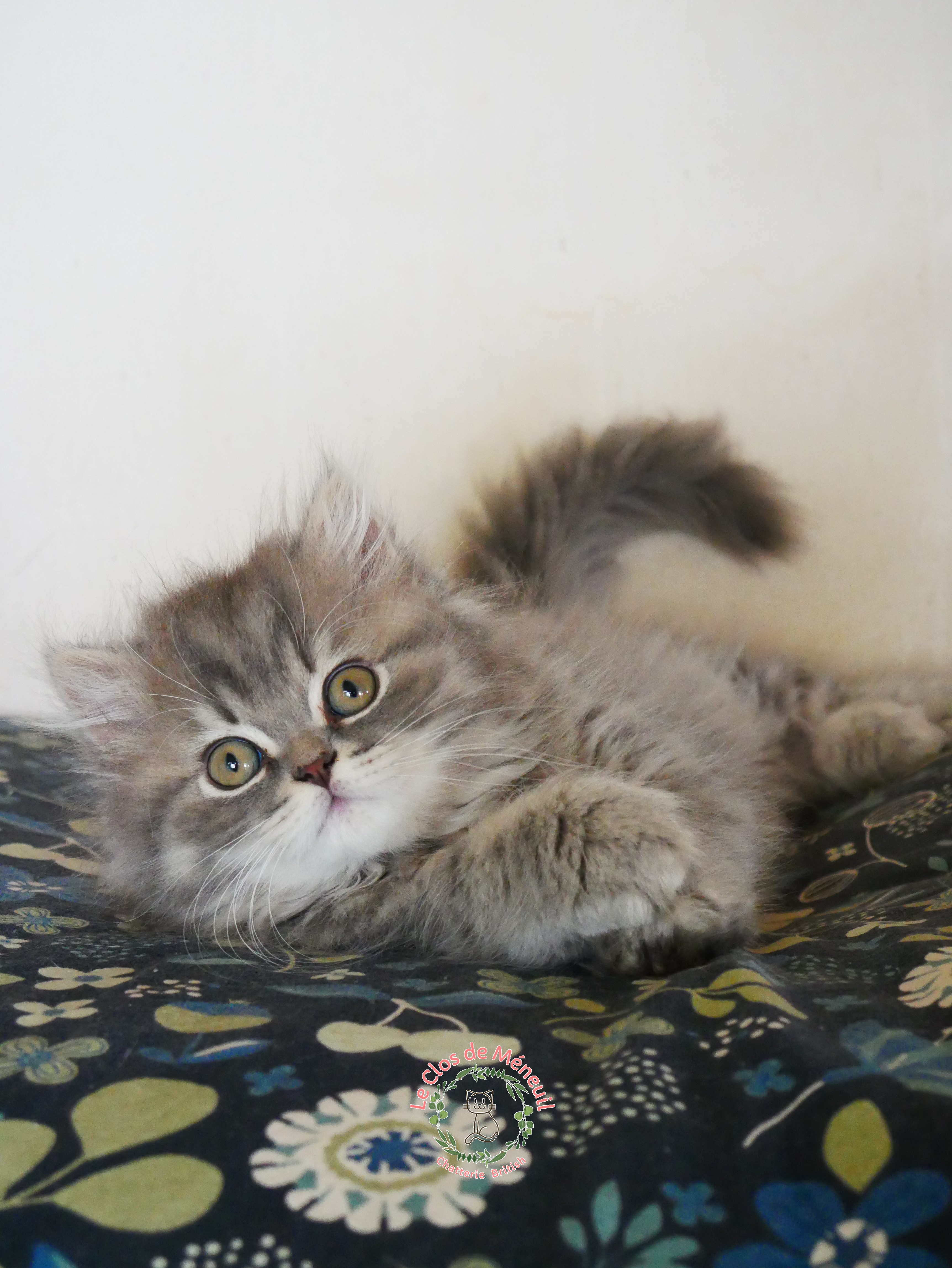 Berlioz 10 sem 5 