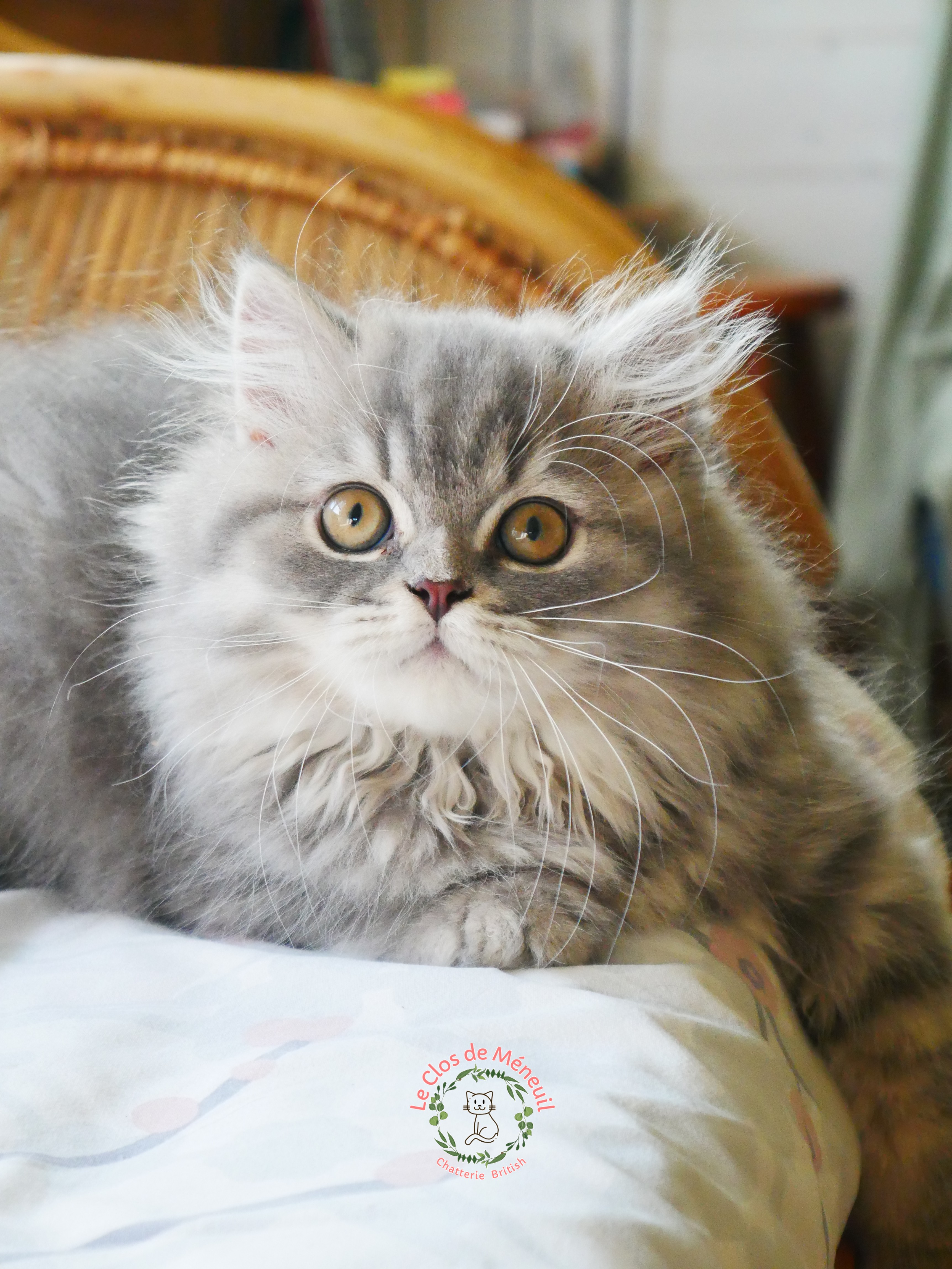 Berlioz 12 sem 5 