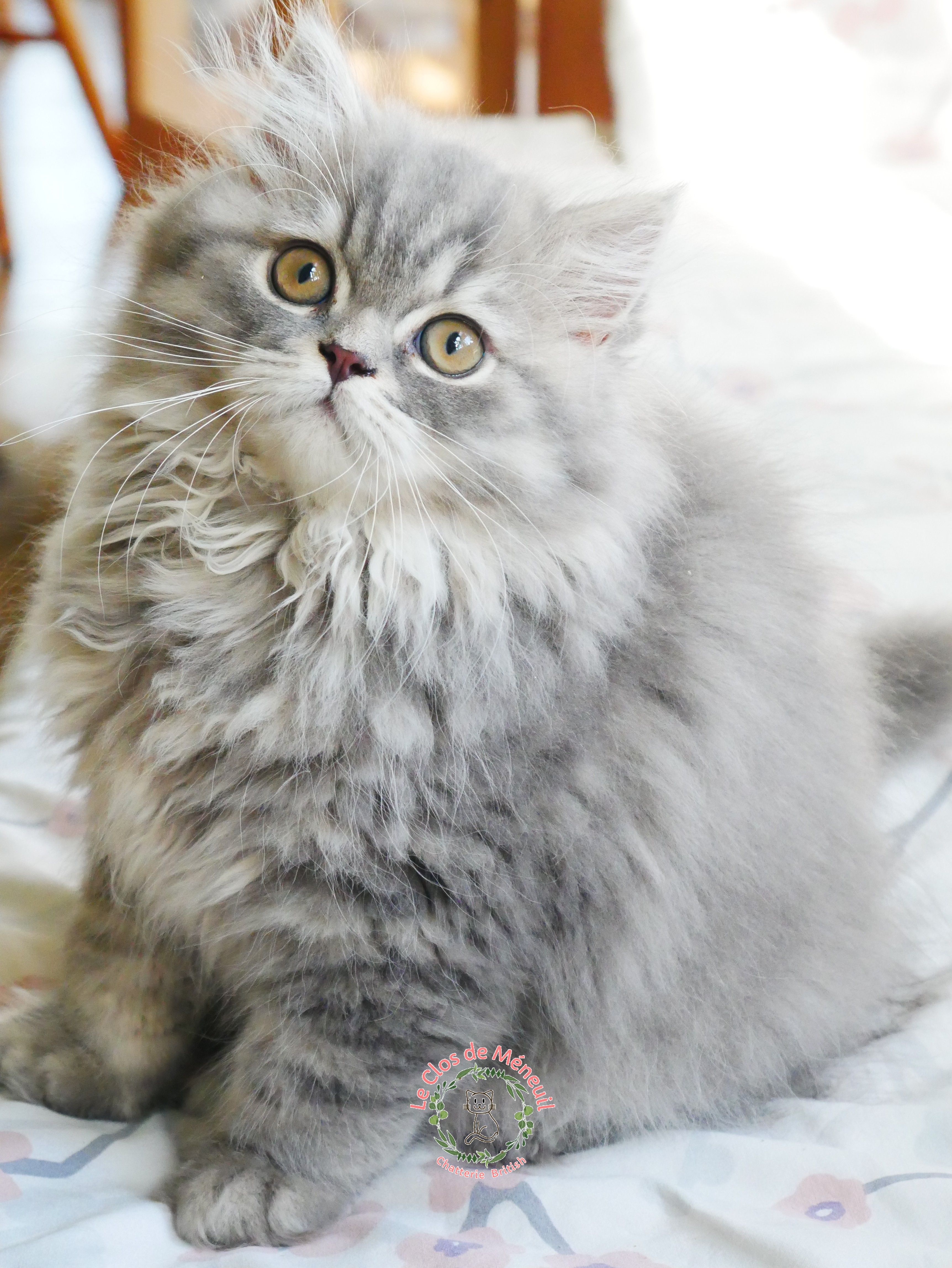 Berlioz 12 sem 4 