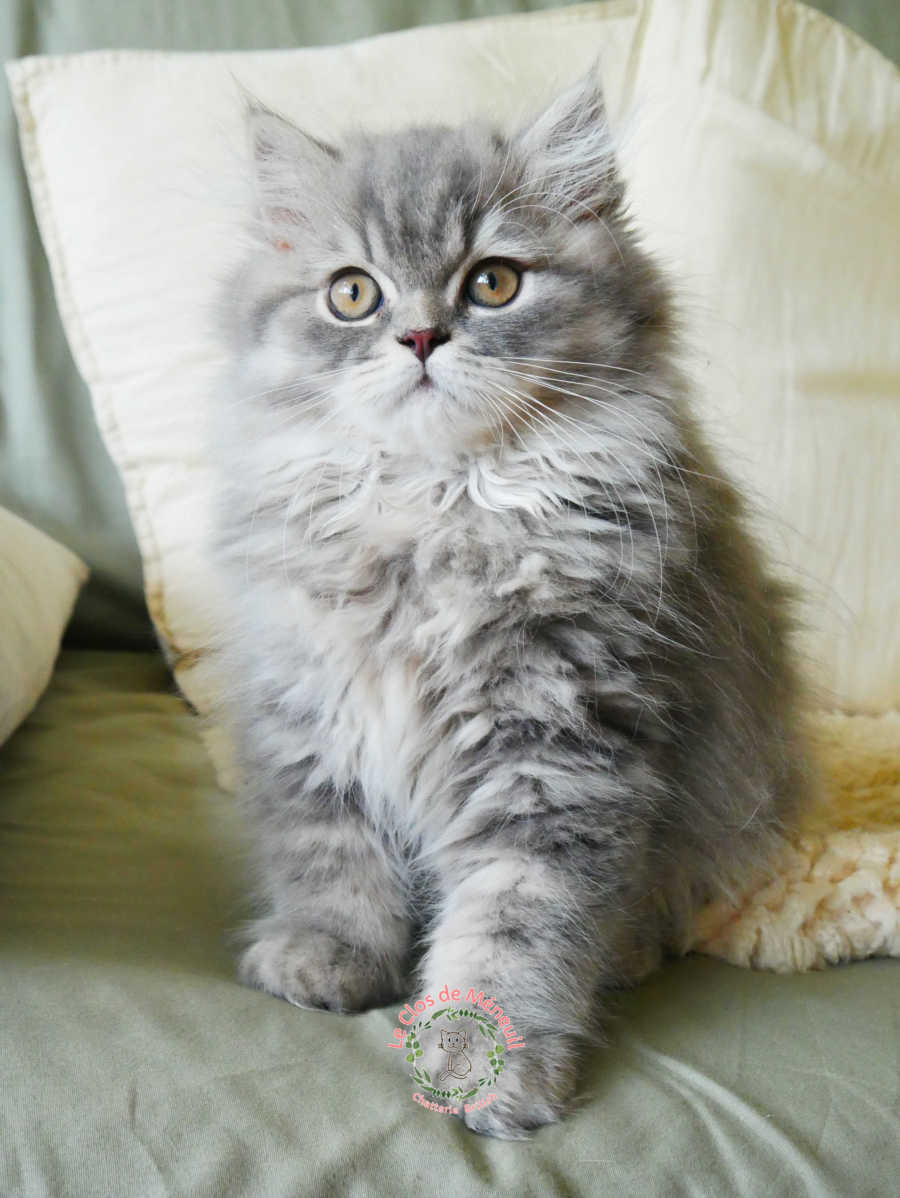 Berlioz 12 sem 3 