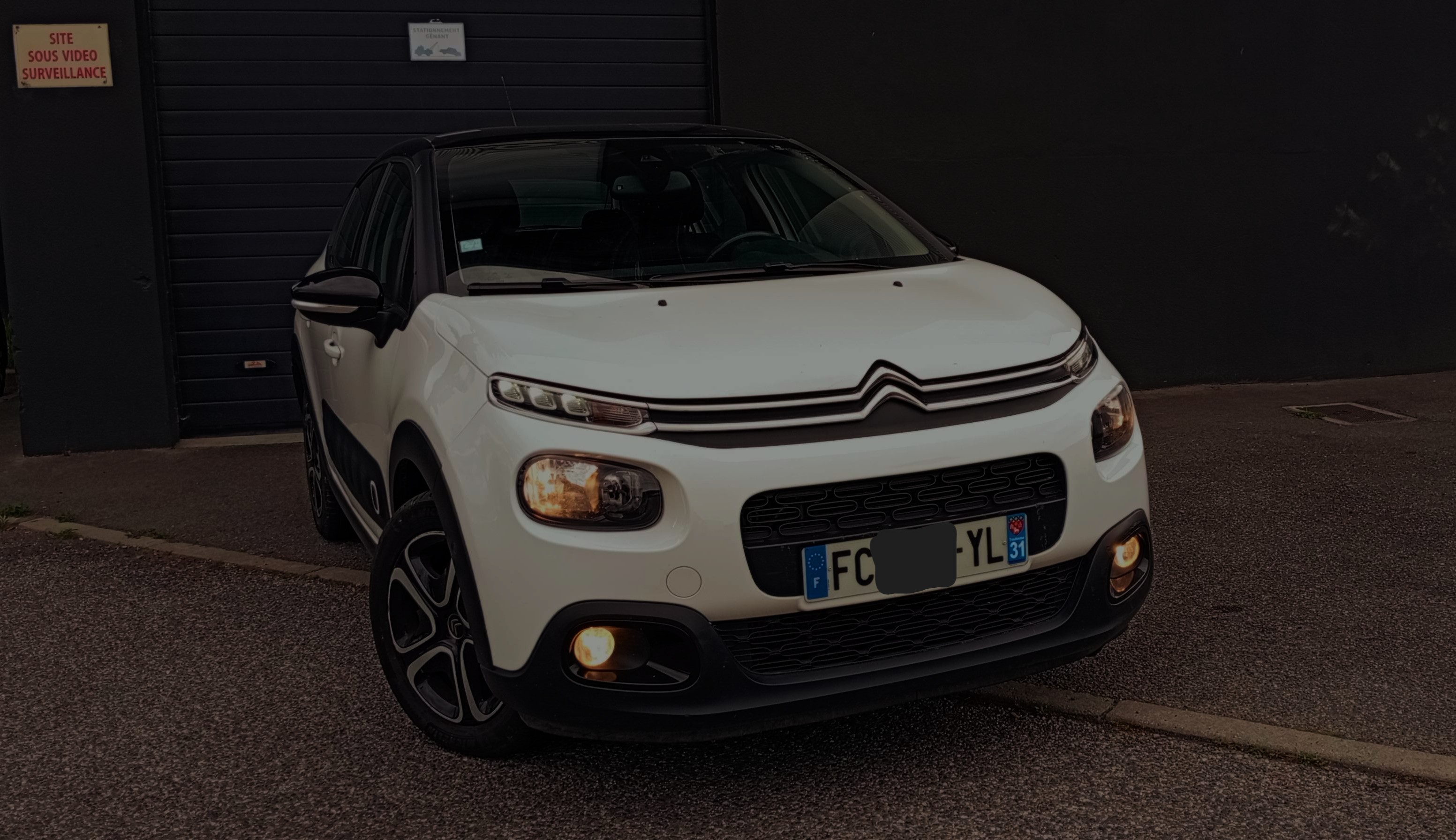 C3 shine 2019 2
