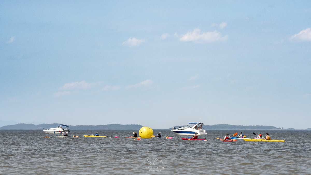 Defi-natation 2025 SL-33