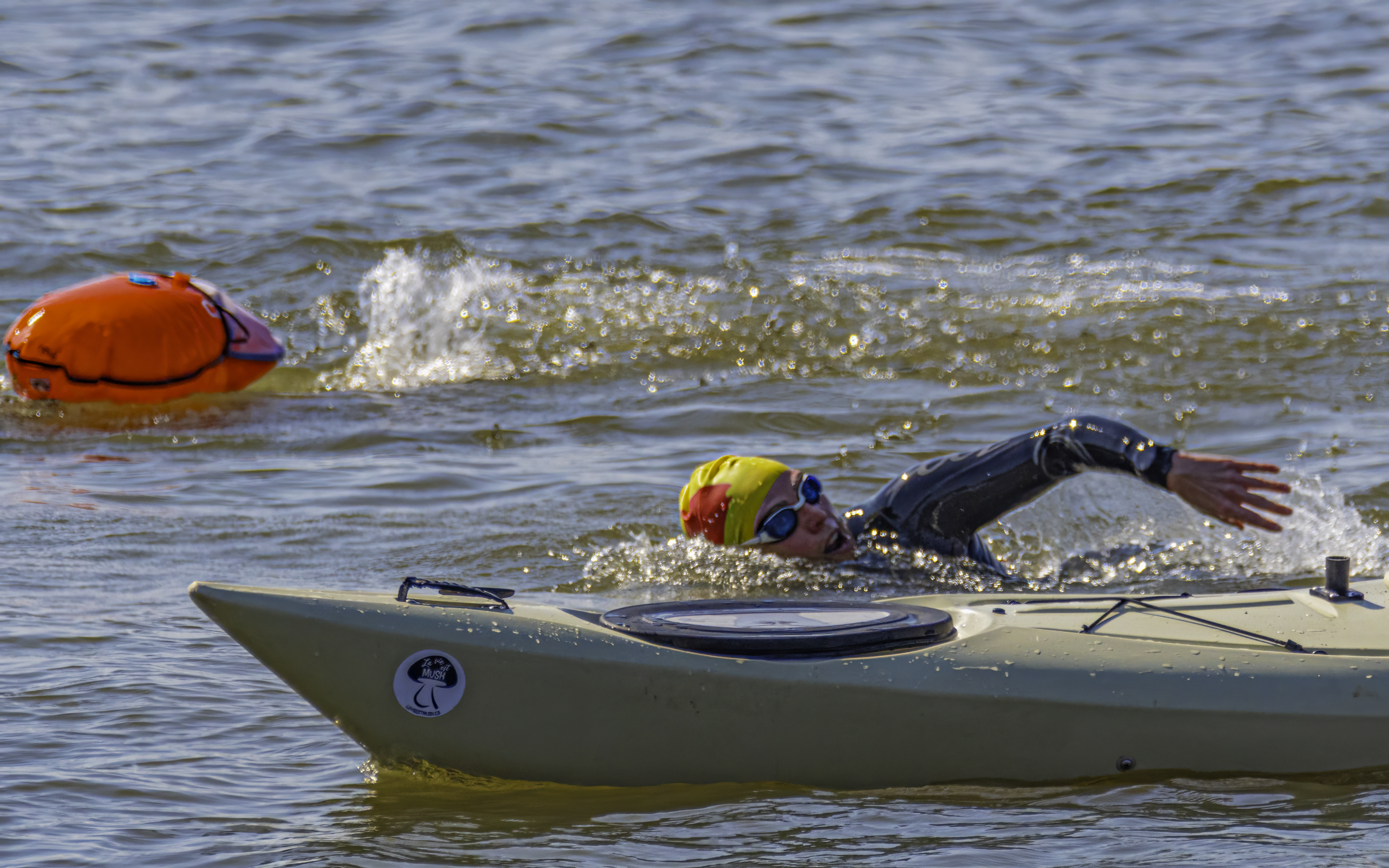 2025-06-24-DSC 1347-Modifier