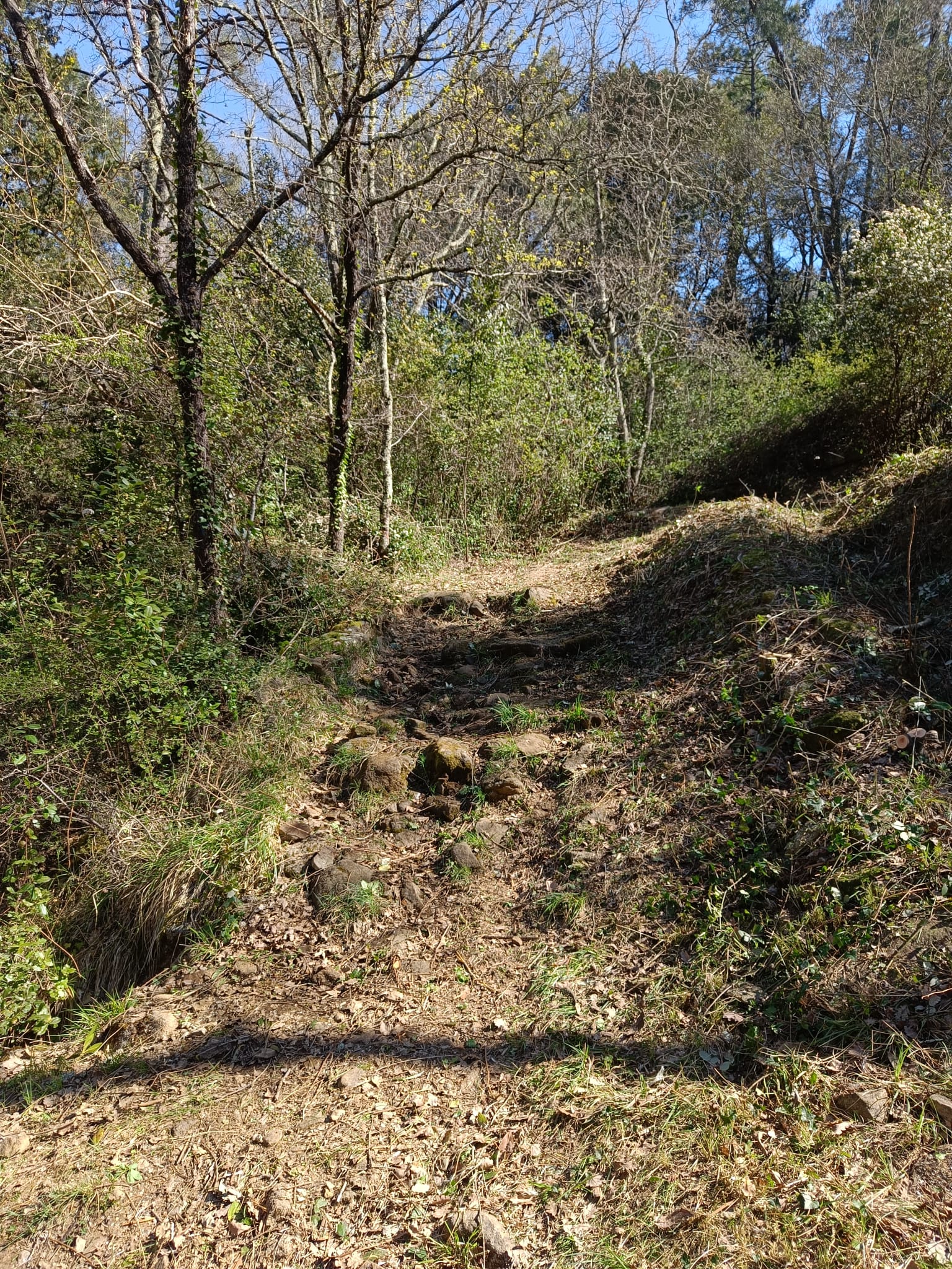 Whatsapp image 2026 04 04 at 17 20 03 b