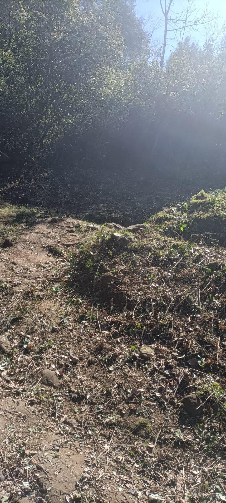 Whatsapp image 2026 04 04 at 11 29 11