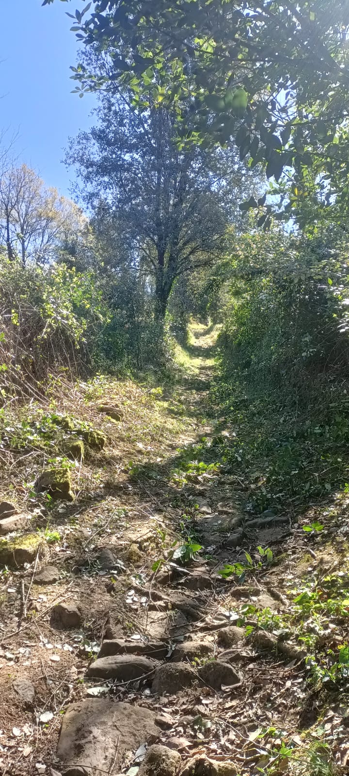 Whatsapp image 2026 04 04 at 11 29 09