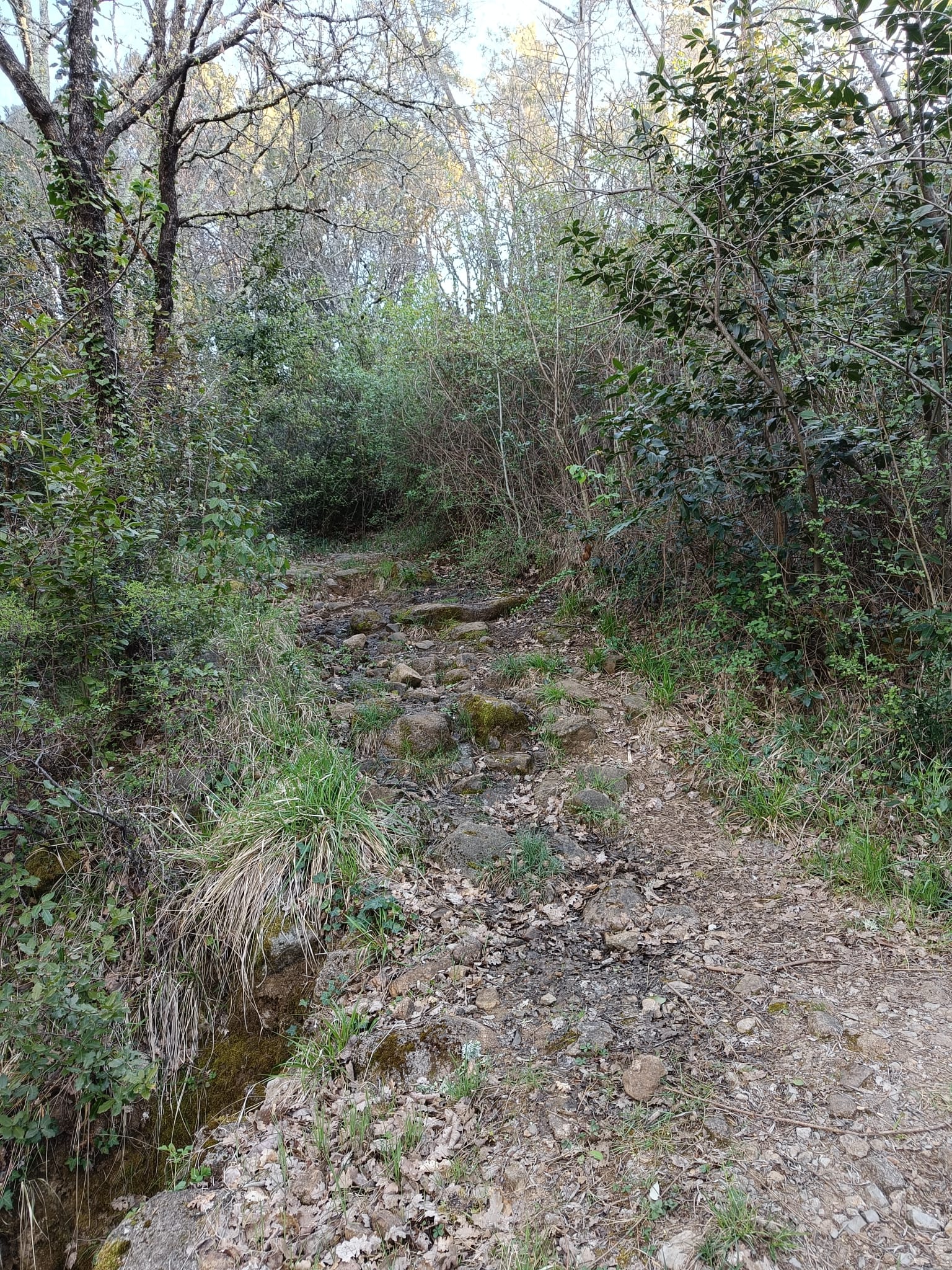 Whatsapp image 2026 04 04 at 17 20 03