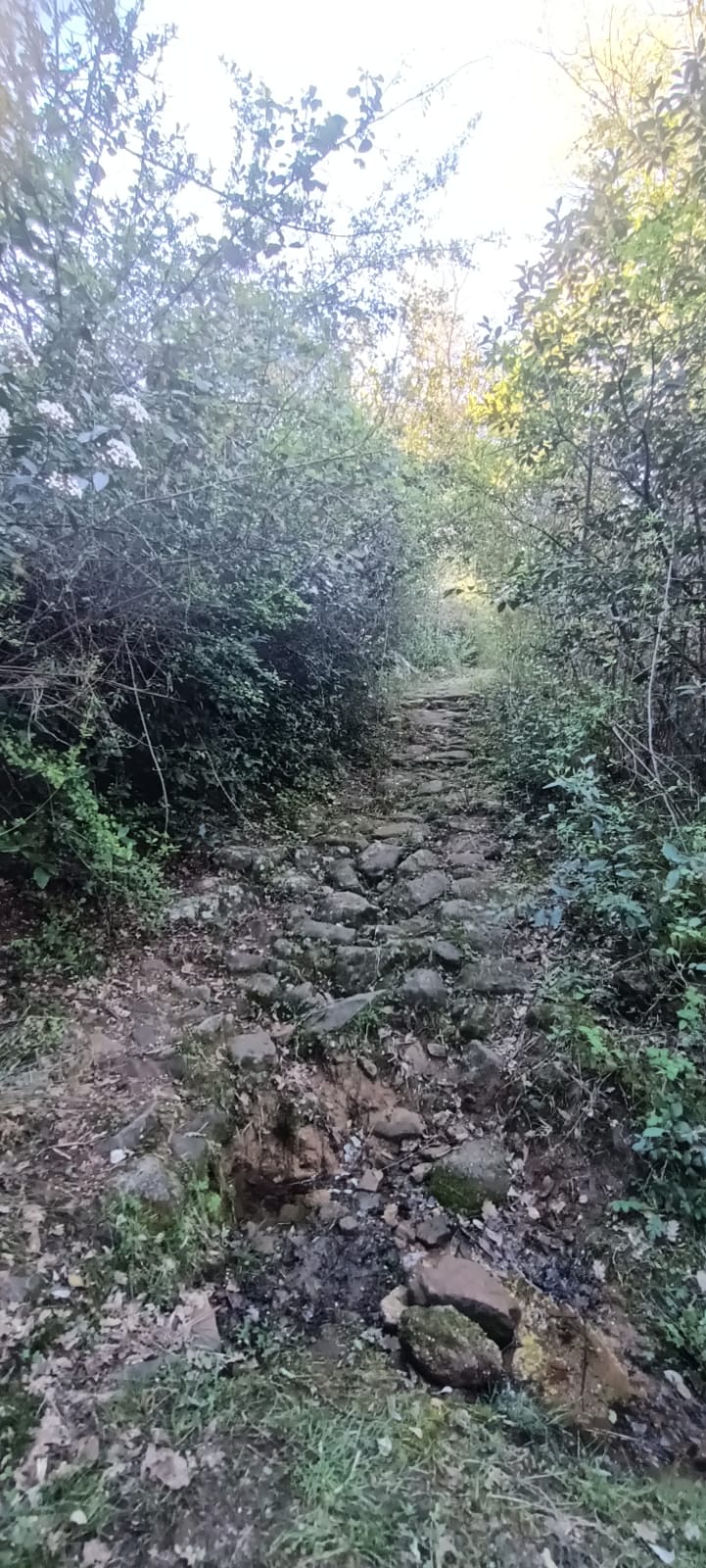 Whatsapp image 2026 04 04 at 11 29 14