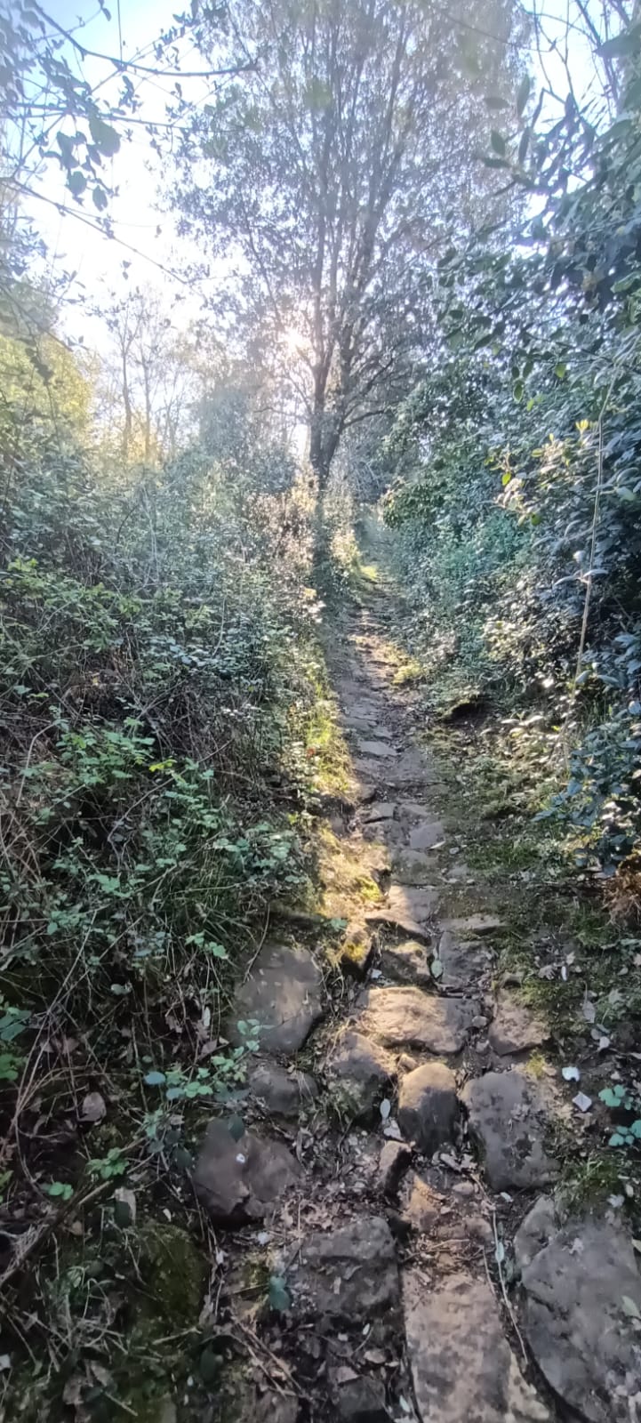 Whatsapp image 2026 04 04 at 11 29 13