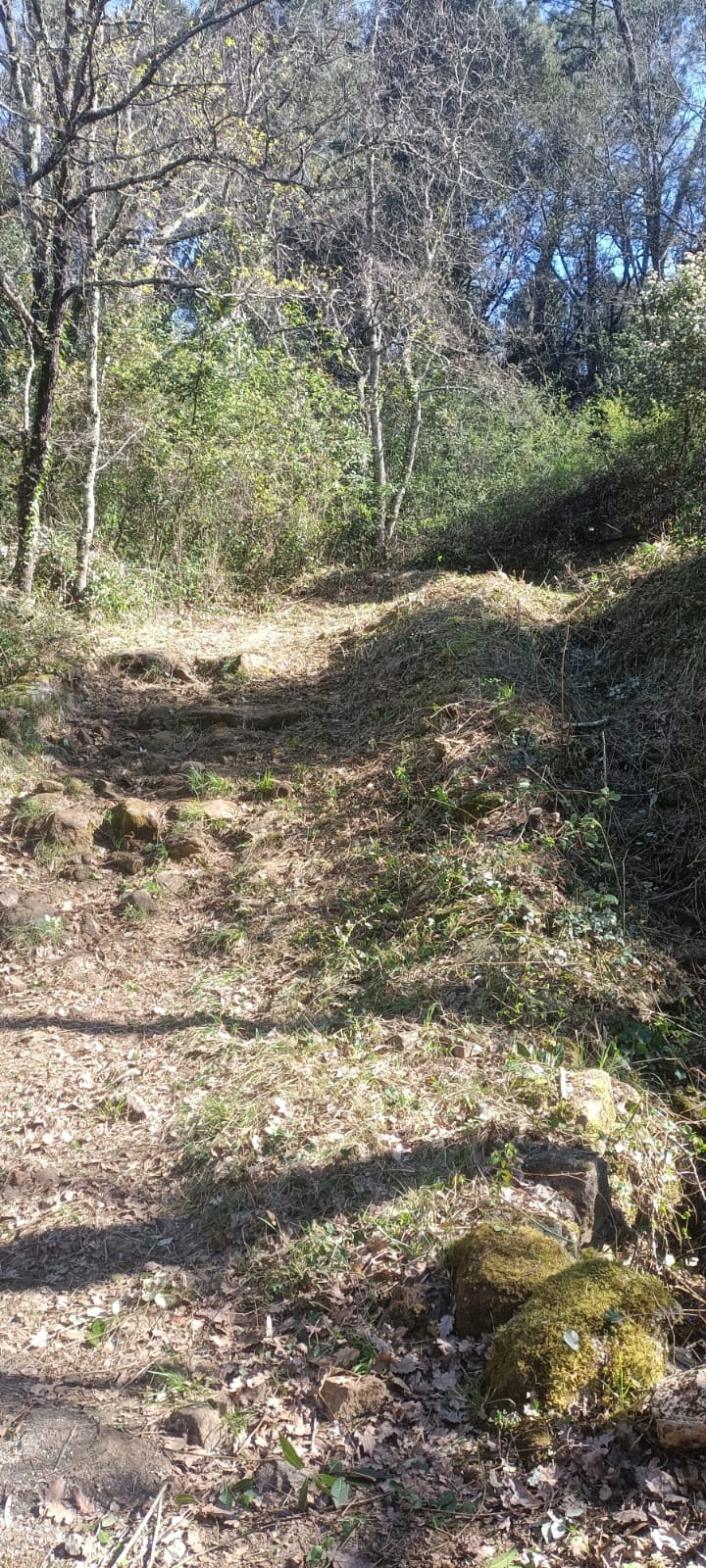 Whatsapp image 2026 04 04 at 11 29 13 b