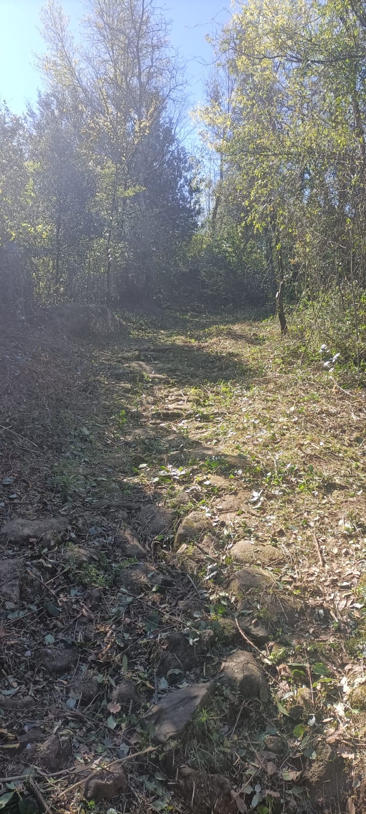 Whatsapp image 2026 04 04 at 11 29 11 b