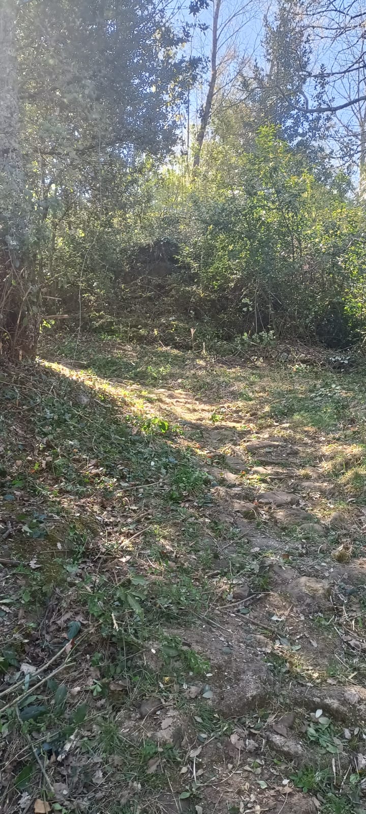 Whatsapp image 2026 04 04 at 11 29 10 b