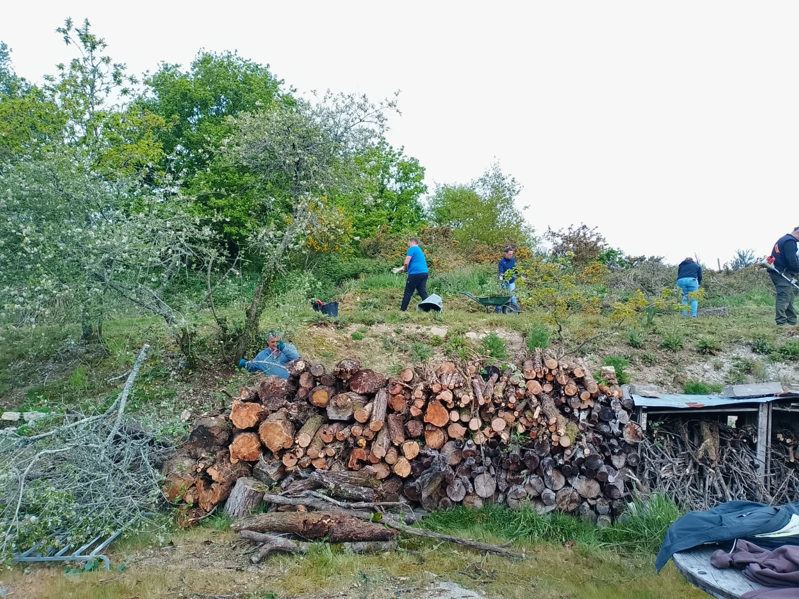 1000056392