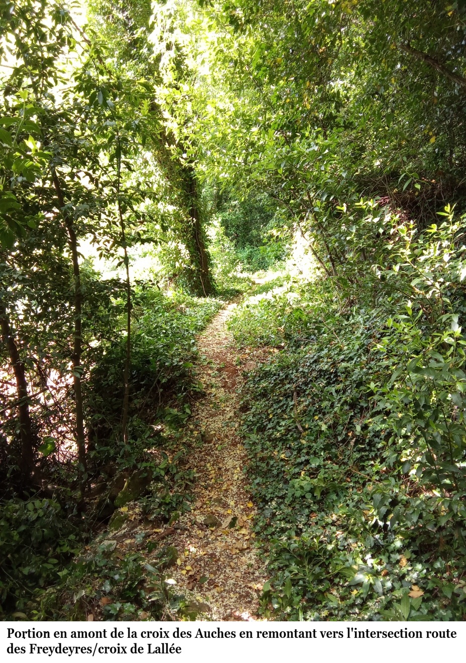 Img 20260502 100226