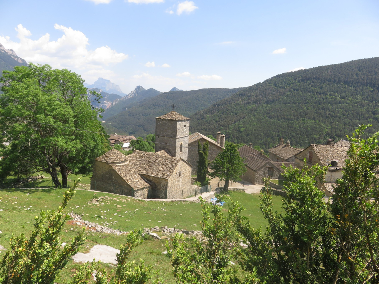 Img 0661