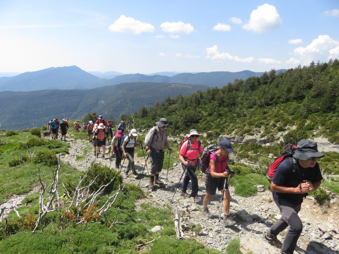 Img 0623