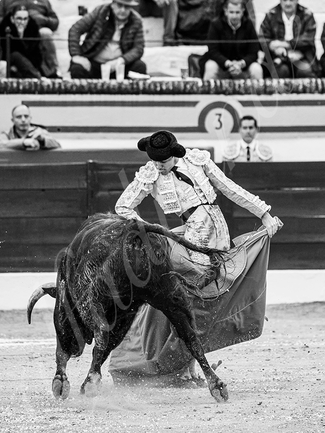 20260306 olivenza fd 010