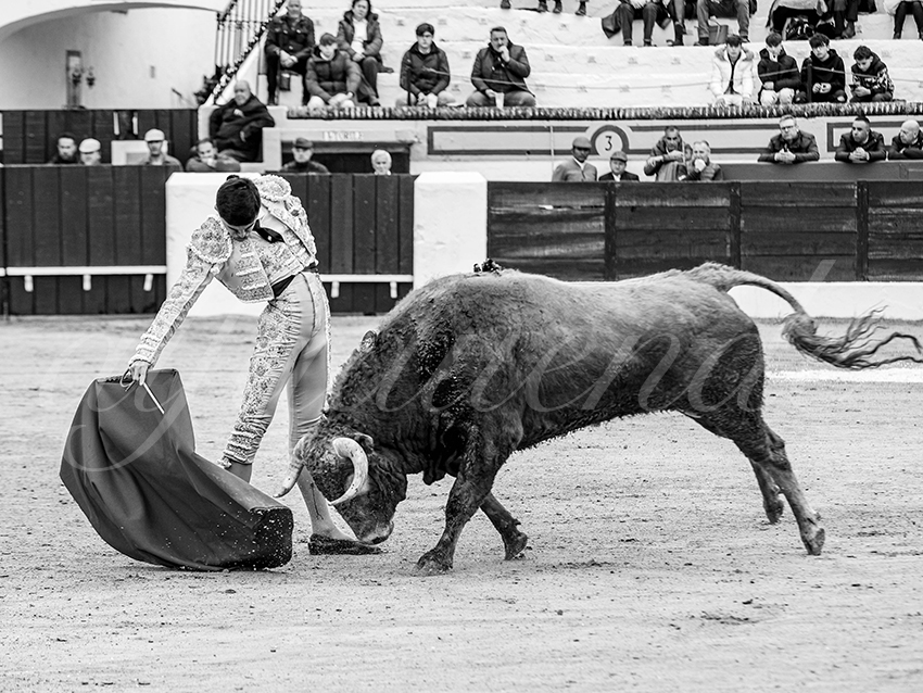 20260306 olivenza fd 008