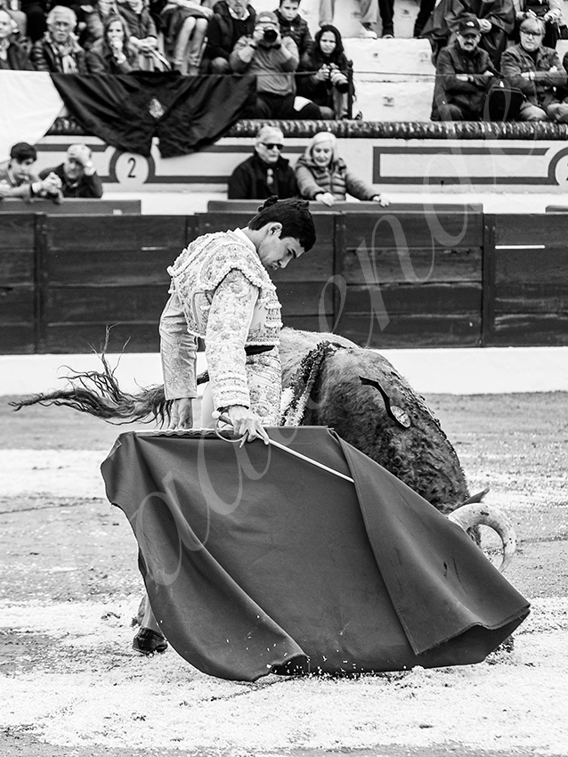 20260306 olivenza fd 007