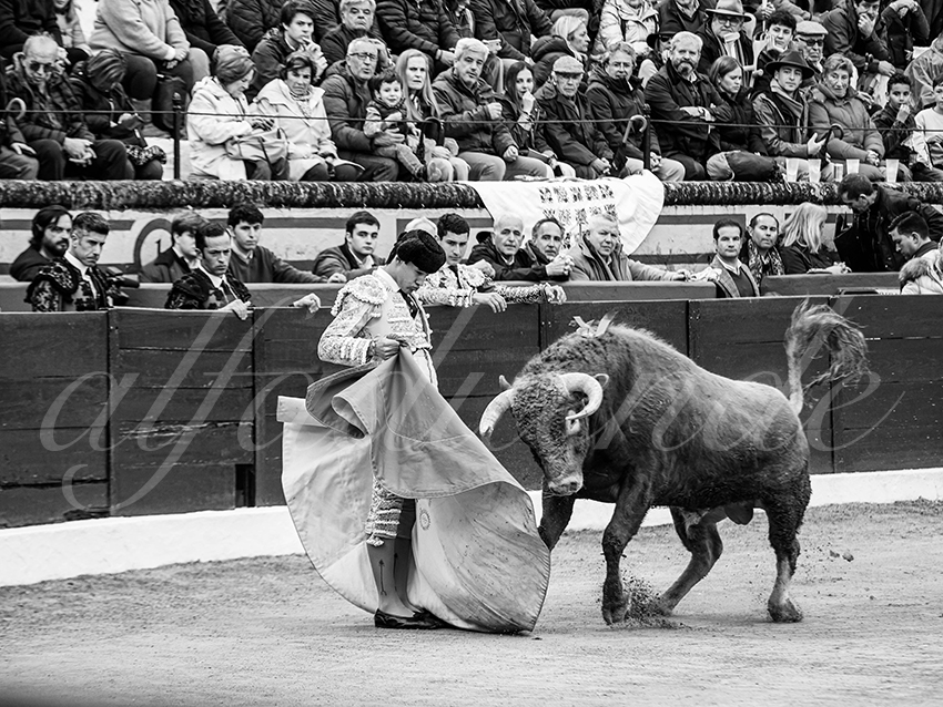 20260306 olivenza fd 006