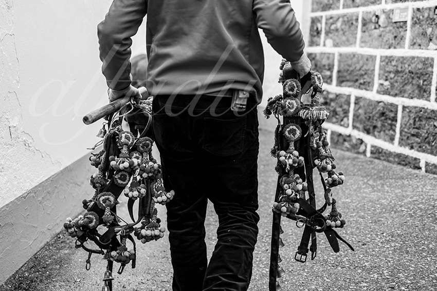 20260306 olivenza fd 001