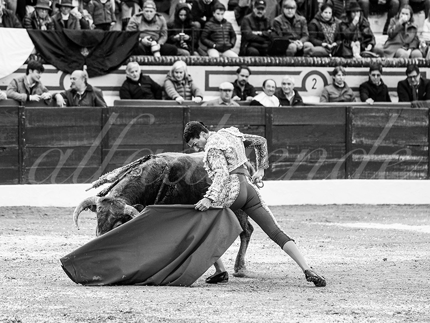 20260306 olivenza fd 027