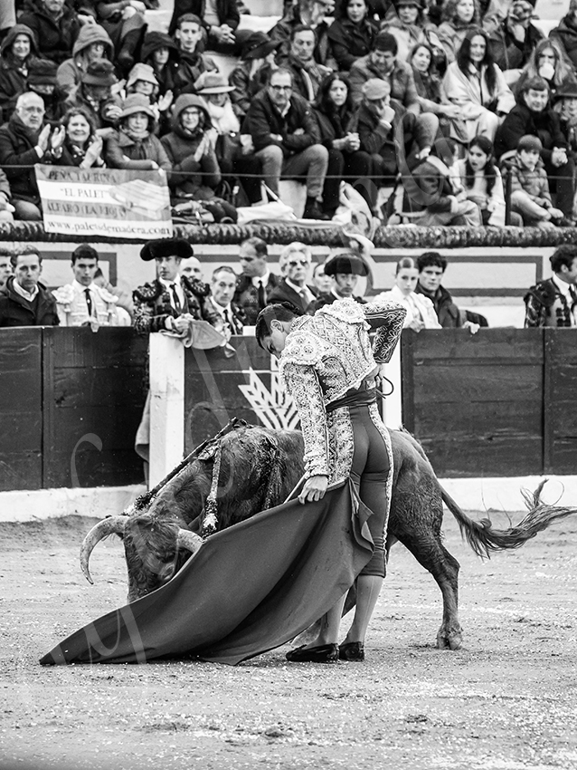 20260306 olivenza fd 025