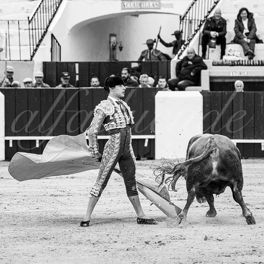 20260306 olivenza fd 023