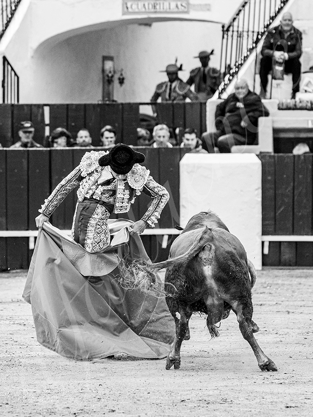 20260306 olivenza fd 022