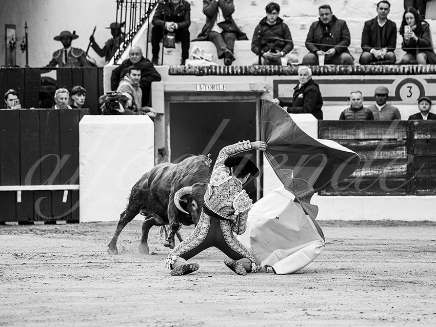 20260306 olivenza fd 021