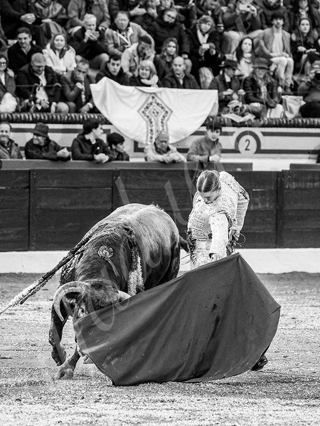 20260306 olivenza fd 019