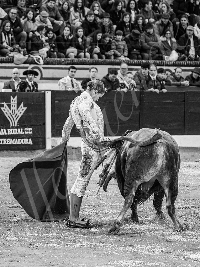 20260306 olivenza fd 018