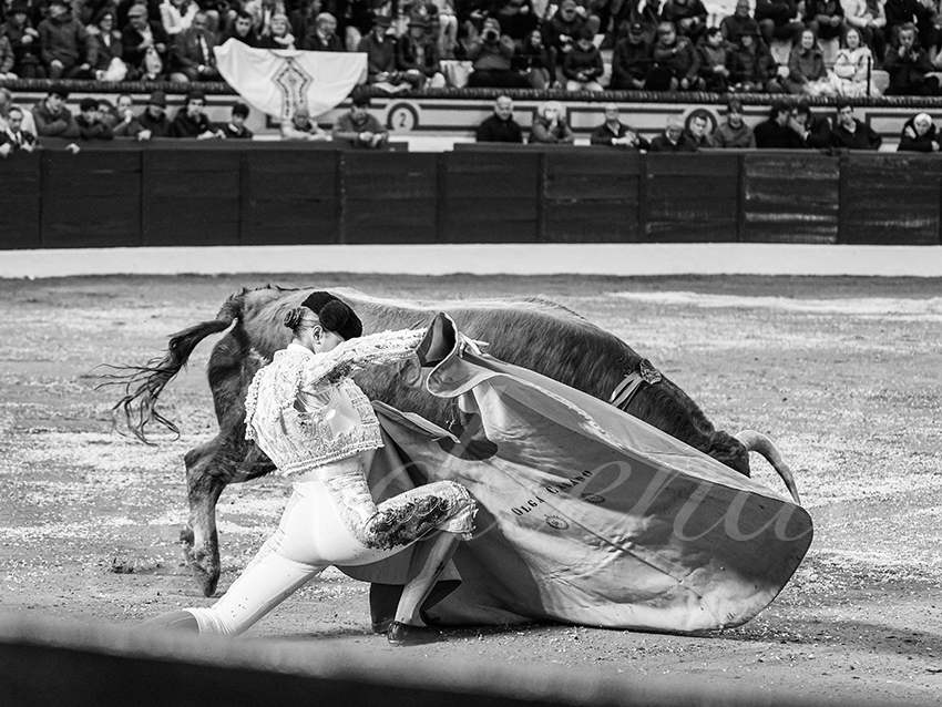 20260306 olivenza fd 017