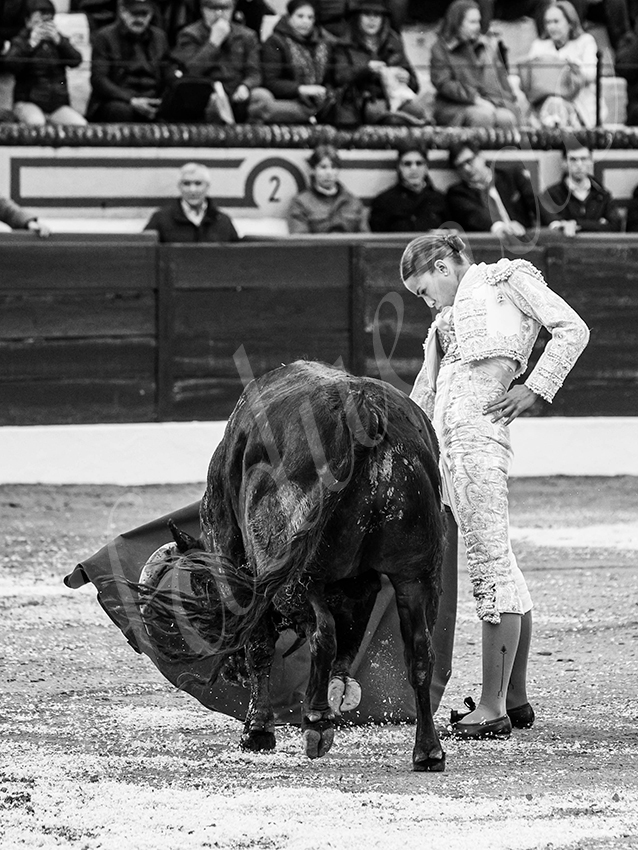 20260306 olivenza fd 015