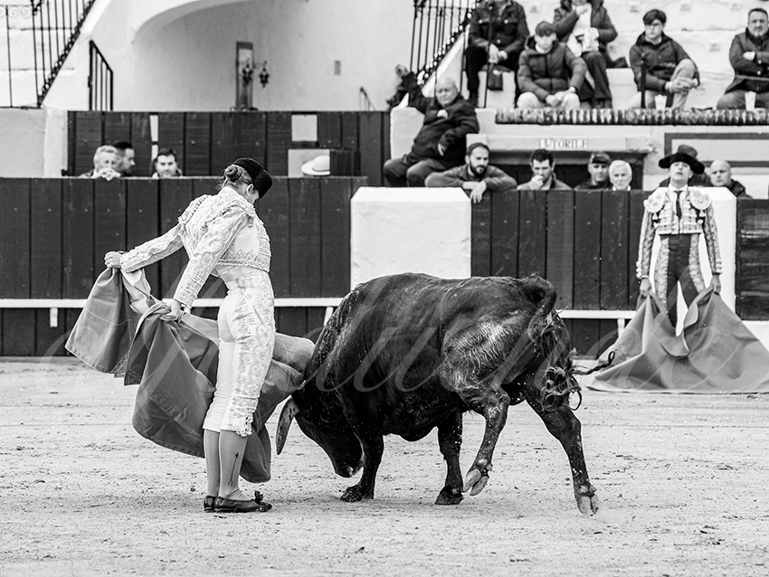 20260306 olivenza fd 014