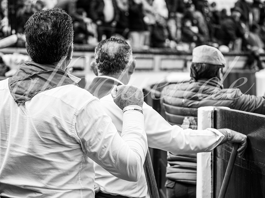 20260306 olivenza fd 012