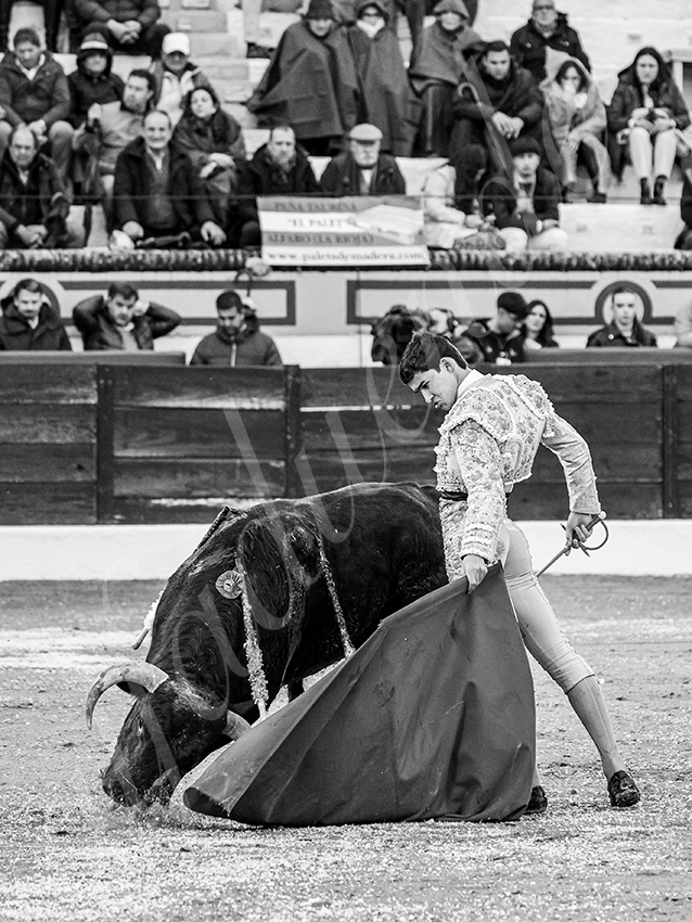 20260306 olivenza fd 011