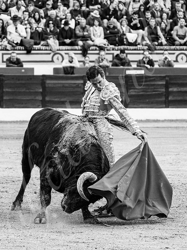 20260307 olivenza fd 018