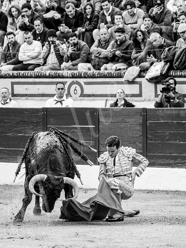 20260307 olivenza fd 017